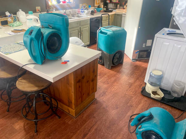 Best Flooded house restoration  in Selma, CA