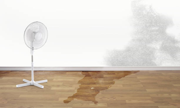Best Residential water damage restoration  in Selma, CA