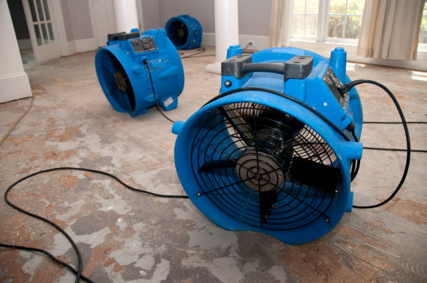 Best 24/7 water damage repair  in Selma, CA
